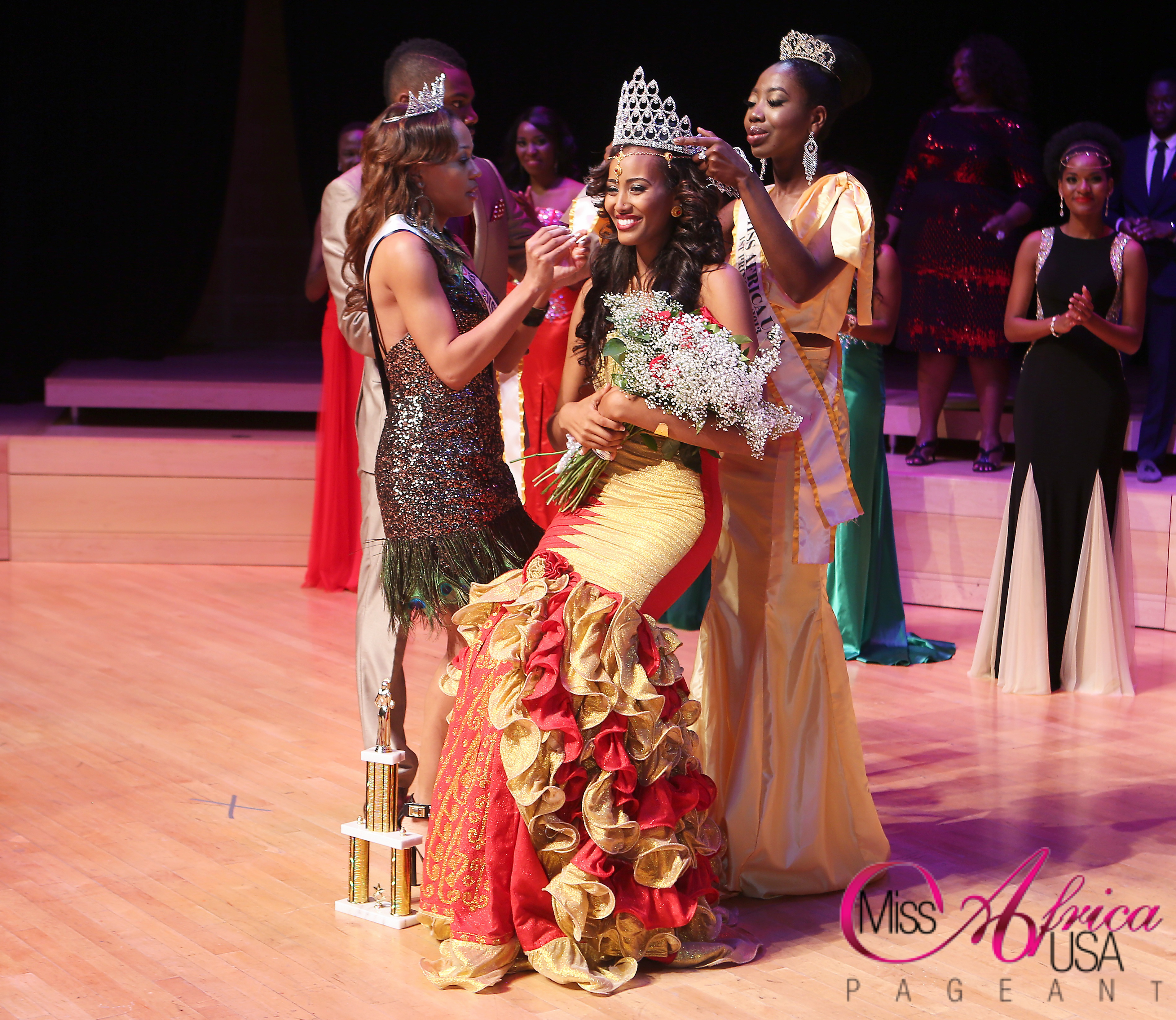 Read more about the article Ethiopian Beauty and Youth Advocate, Meron Wudneh Crowned Miss Africa USA 2014