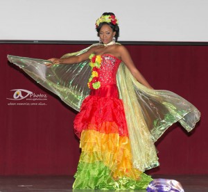 Read more about the article Miss Africa USA Parade of Nations 2015 Was The Highlight of Pageant Night