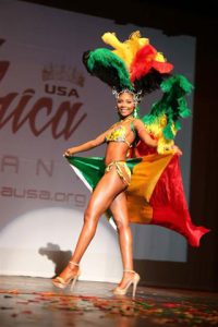 Read more about the article The Colors Of Africa Light  Up The Night  At Miss Africa USA 2016 Pageant